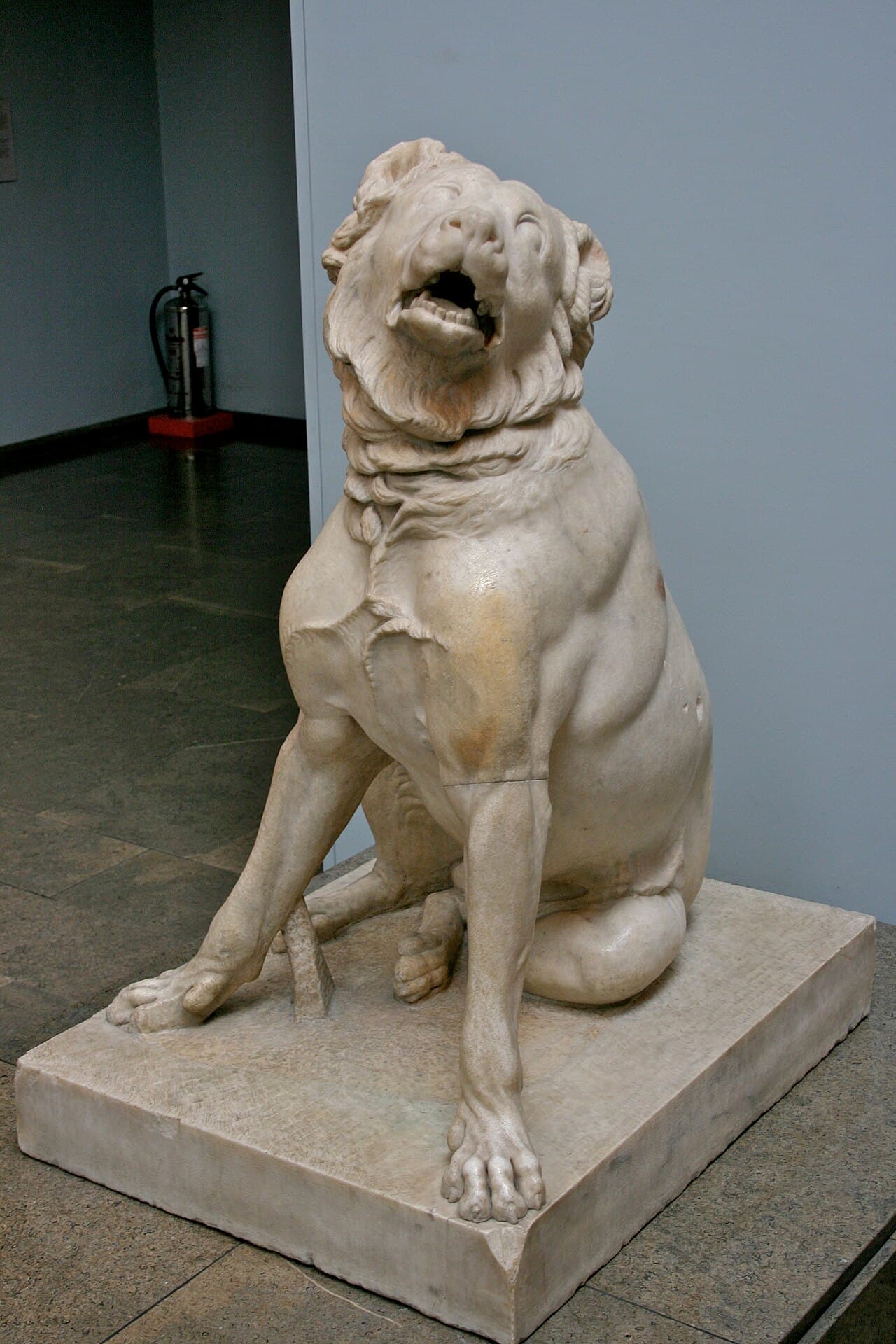 Molossian hound