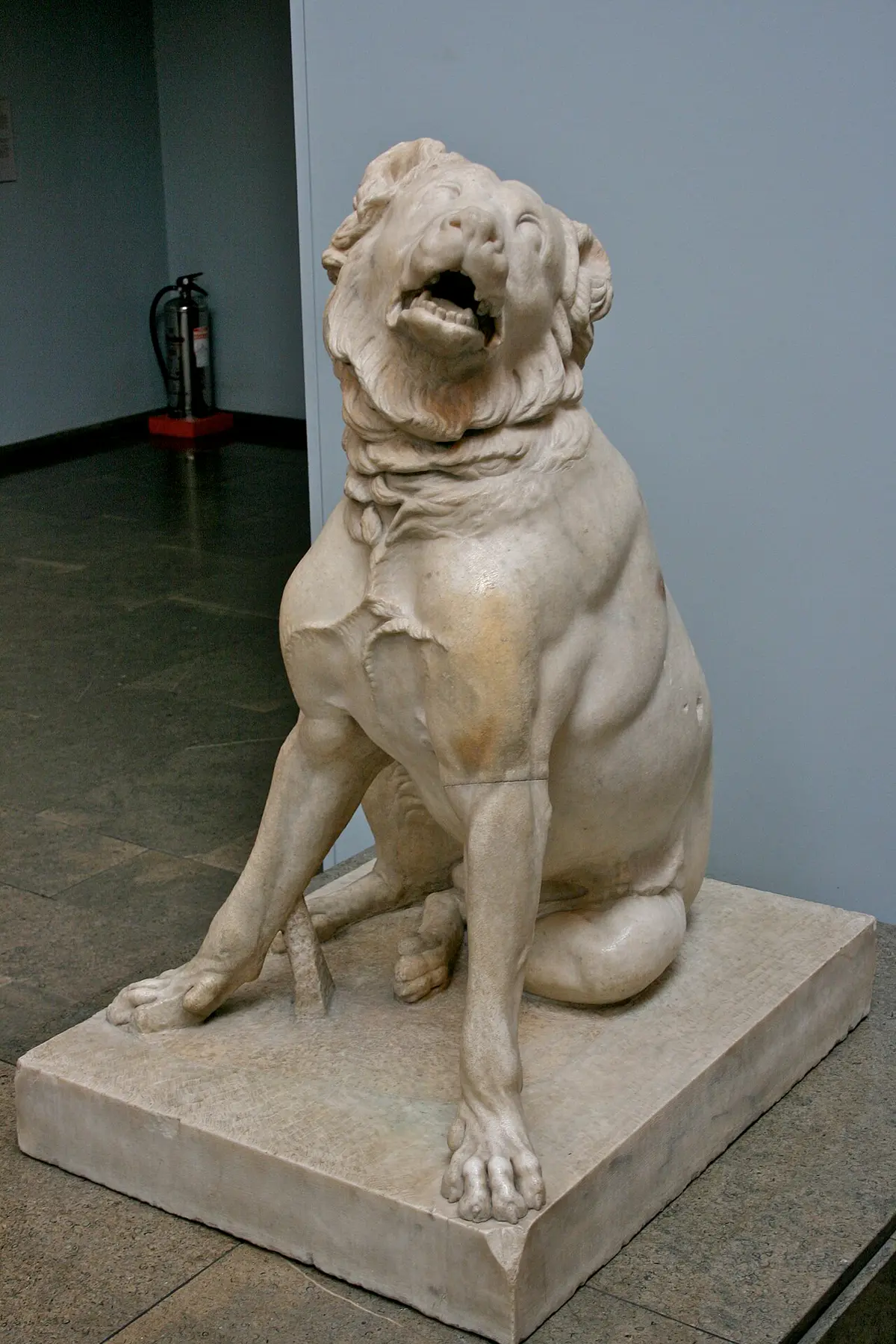 Molossian hound